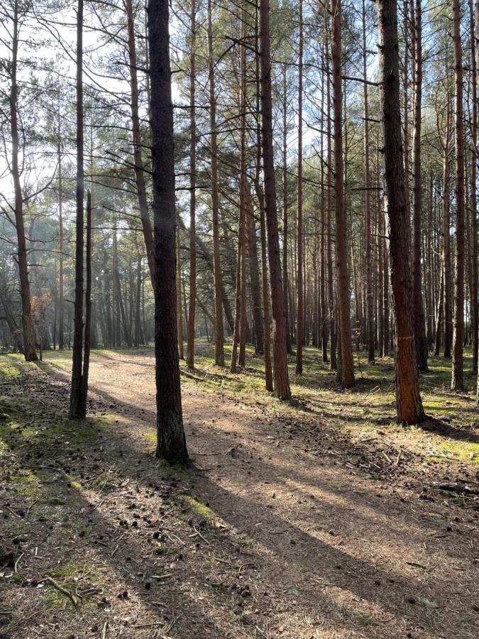 Sunset Resort Apartament Dziesiatka Przy Plazy Grzybowo  Eksteriør billede